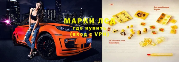 молекула духа Елабуга