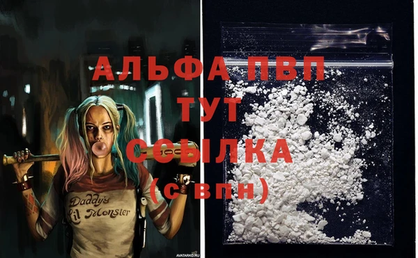 гашик Заводоуковск