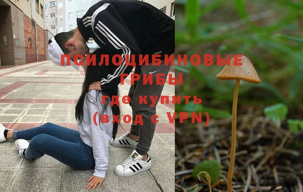 молекула духа Елабуга