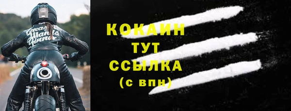 молекула духа Елабуга