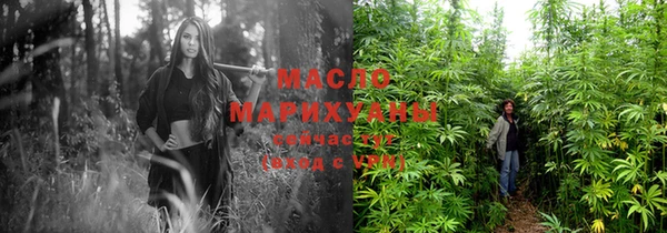молекула духа Елабуга