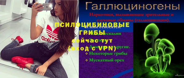 мескалин Ельня