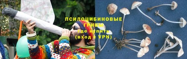 apvp Заволжье