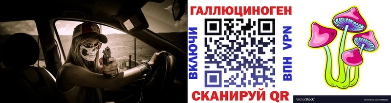 купить   Пущино  Псилоцибиновые грибы Cubensis 